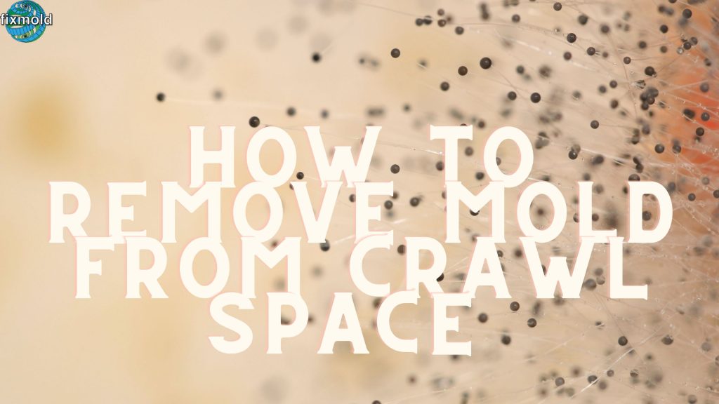 How To Remove Mold From Your Crawl Space 
