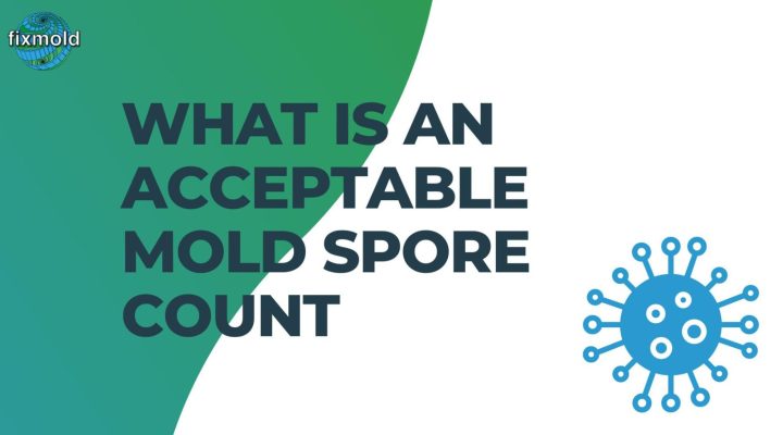 What Is An Acceptable Mold Spore Count?