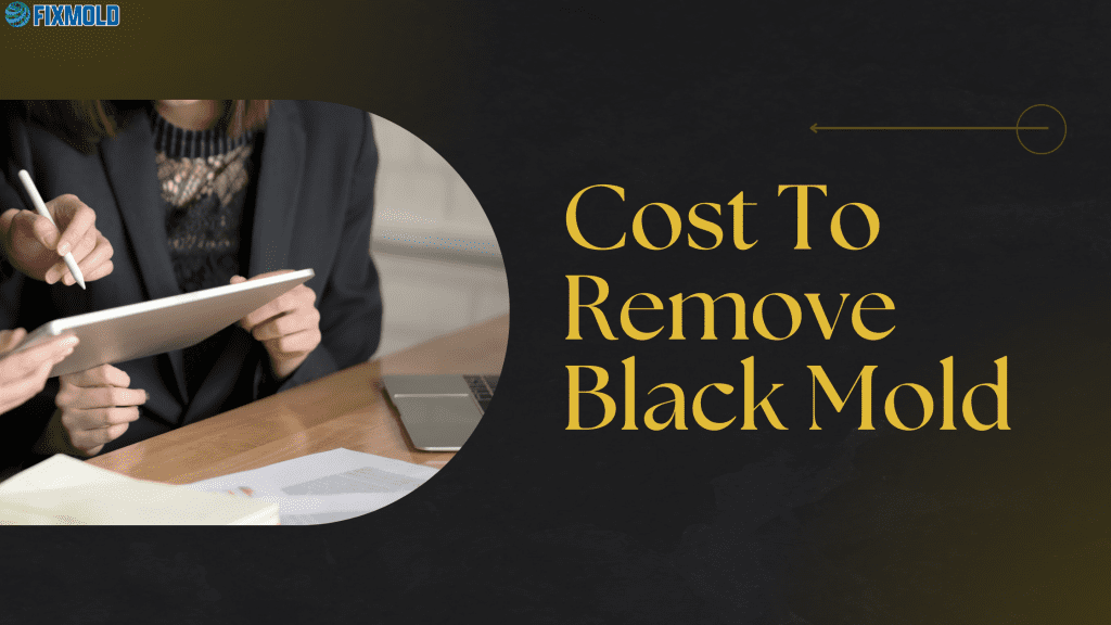 Cost To Remove Black Mold