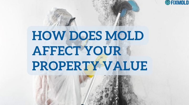 How does mold affect your property value