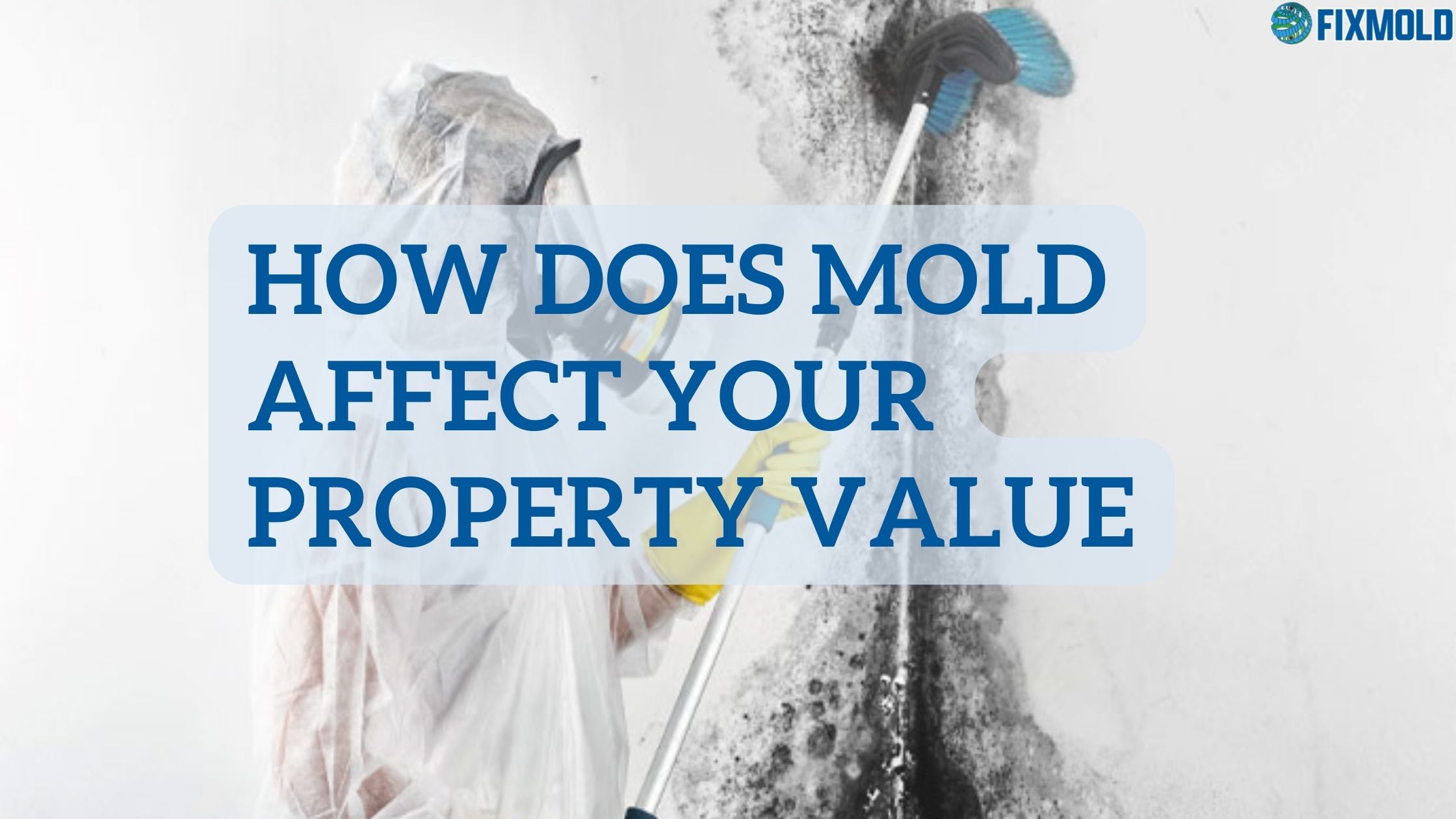 How does mold affect your property value