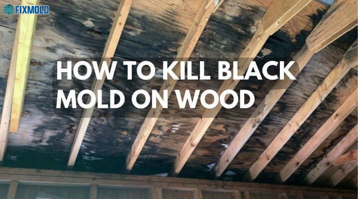 How to kill black mold on wood
