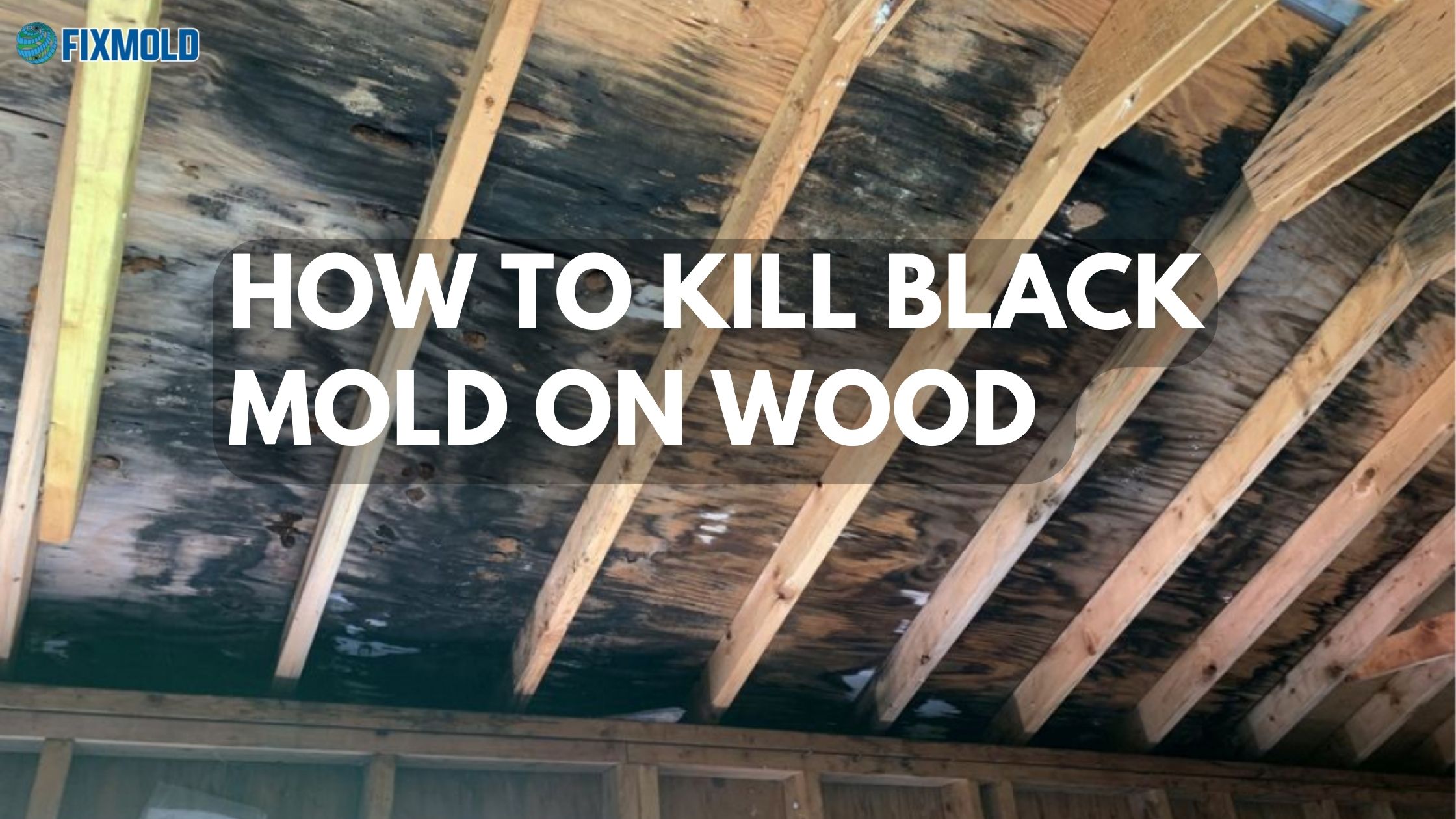 How to kill black mold on wood