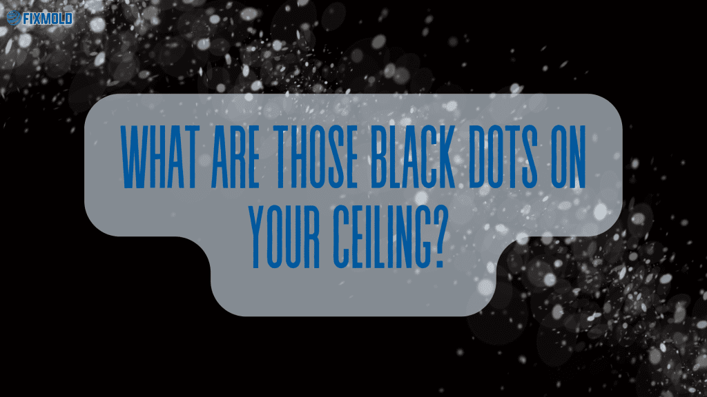 What Are Those Black Dots On Your Ceiling? 
