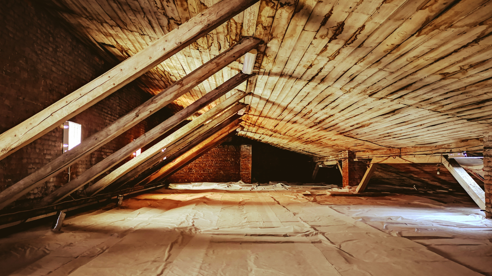 attic cleaning guide