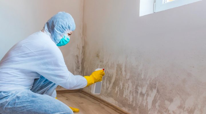 post-inspection mold remediation