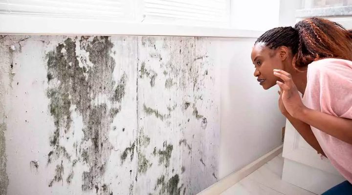 mold and asthma