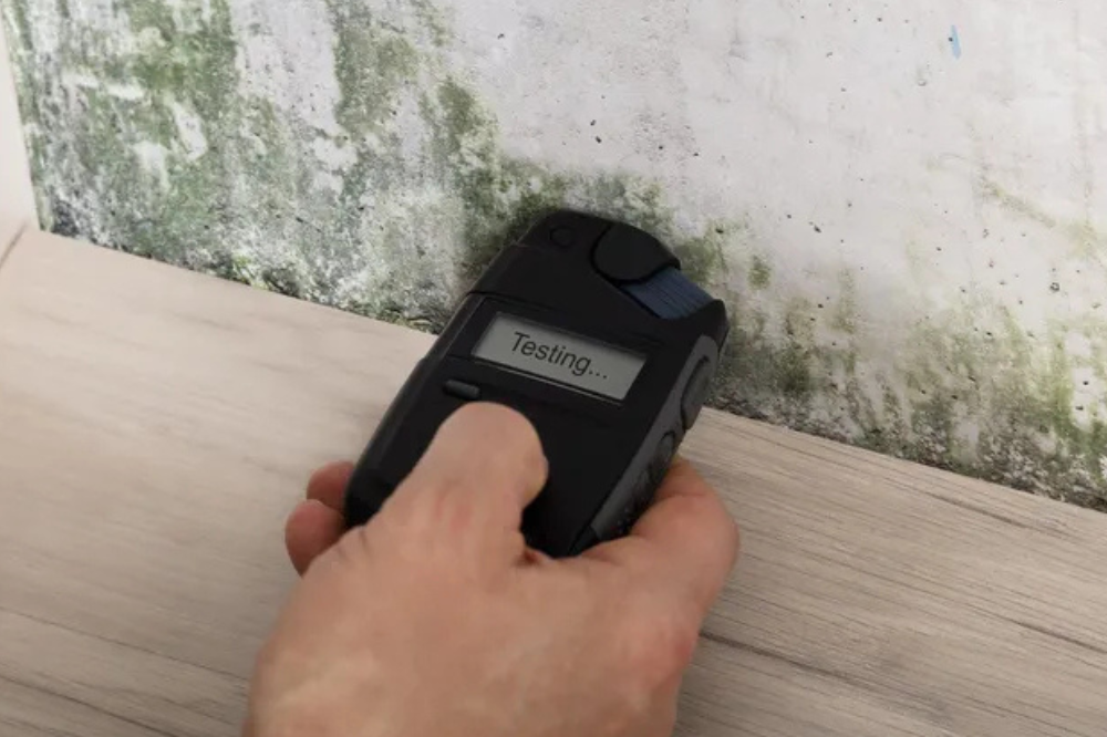 Best Mold Detector Options for Home Safety 2025