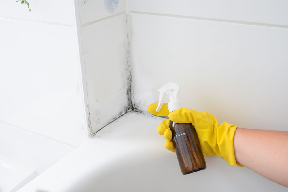 Effective Mold Removal with Vinegar – Safe & Easy