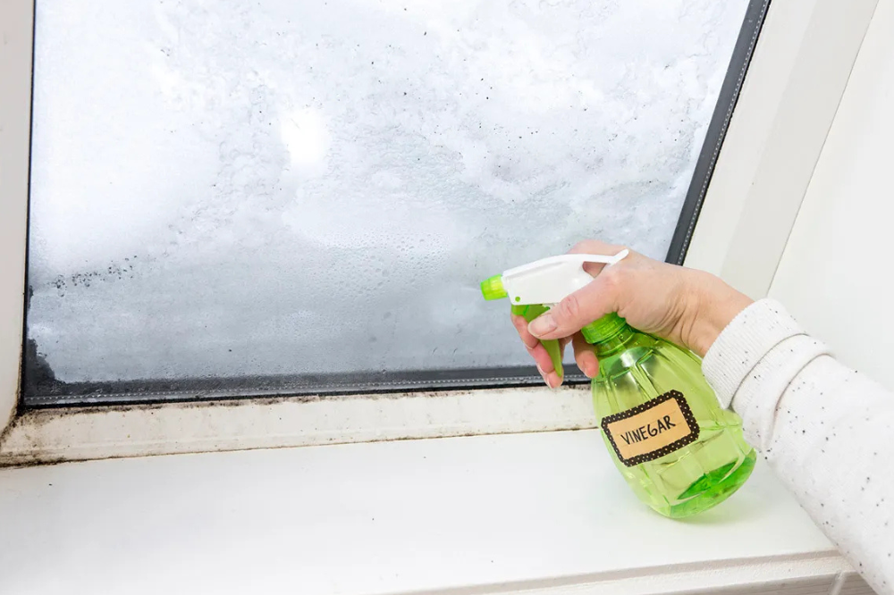 White Vinegar Mold Removal: Safe & Effective Cleanup