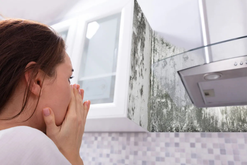 Eliminate Musty Smell in House – Fresh Home Guide