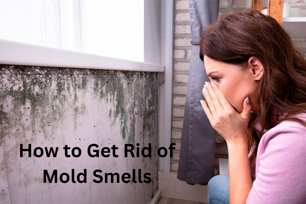 Eliminate Mildew Smell in House Effectively