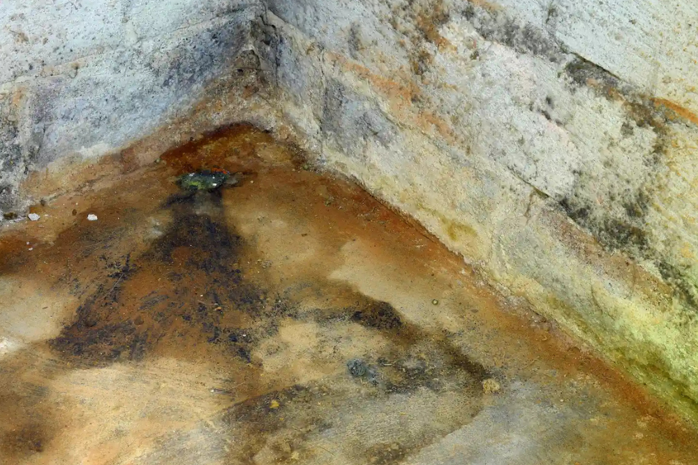 Basement Mold Removal Experts | Safe & Effective