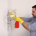 Effective Mold Removal: Using Bleach to Kill Mold