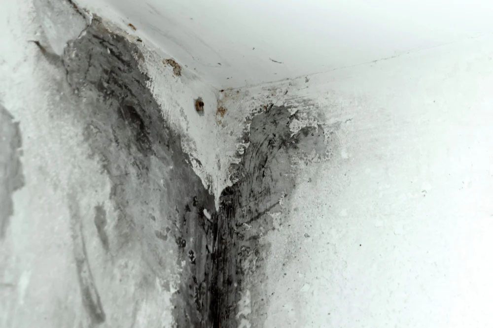 how to clean mold from silicone rubber bottle