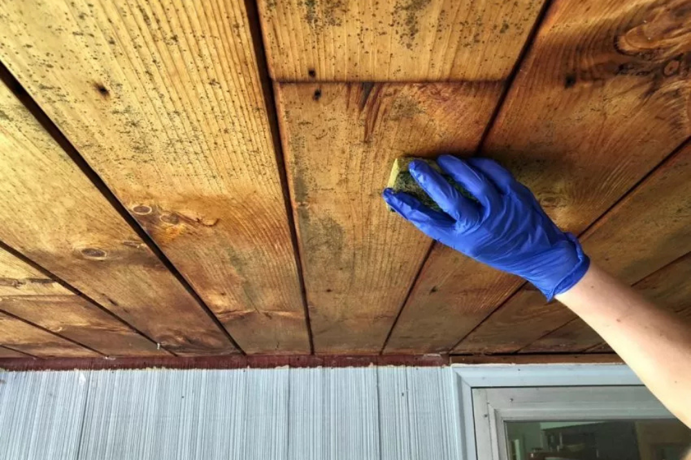 prevent mold on wood