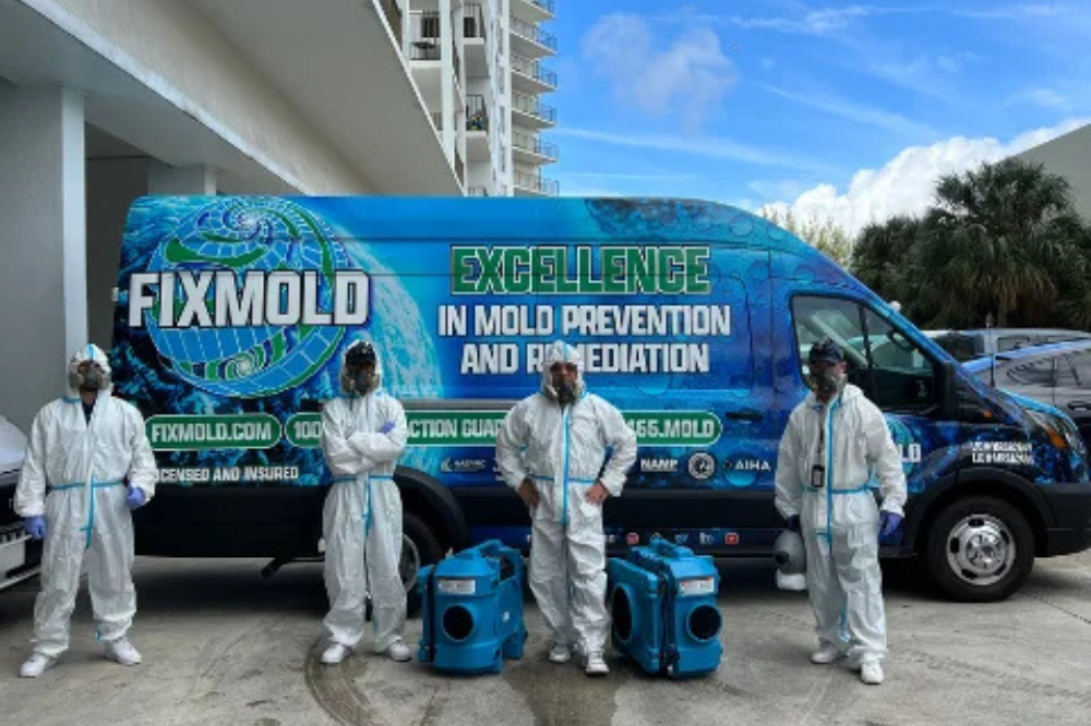 Top Picks for Best Mold Remover – Effective Solutions