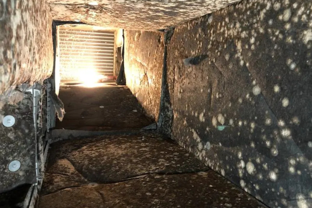 Mold in HVAC: Risks, Removal & Prevention Tips