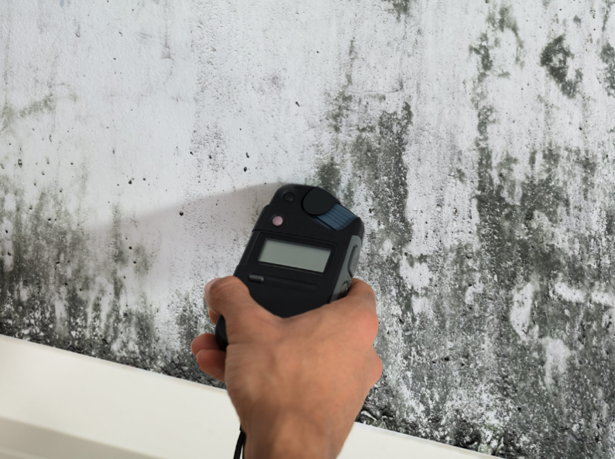 How Do You Assess For Mold
