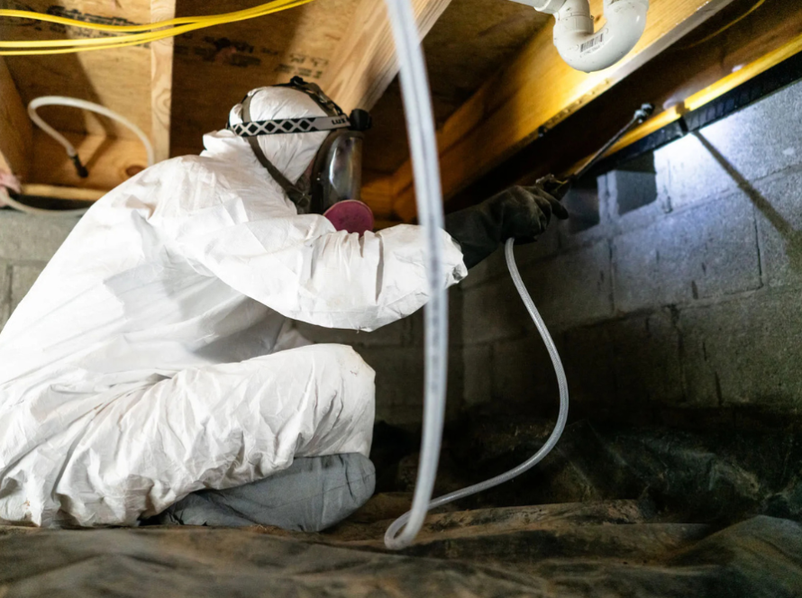How-To-Remove-Mold-From-Your-Crawl-Space