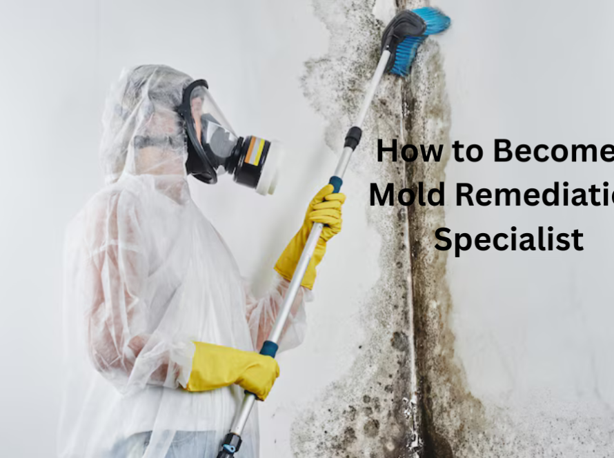 How to Become a Mold Remediation Specialist