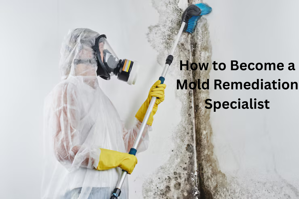 How to Become a Mold Remediation Specialist