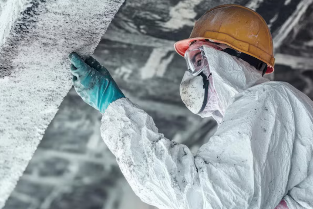How to know if I really need a mold professional?