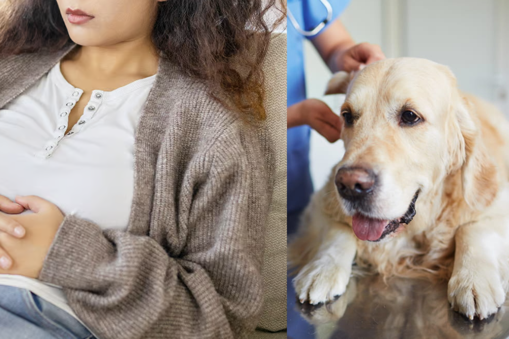 Toxic Mold: Impact on Pregnant Women & Pets