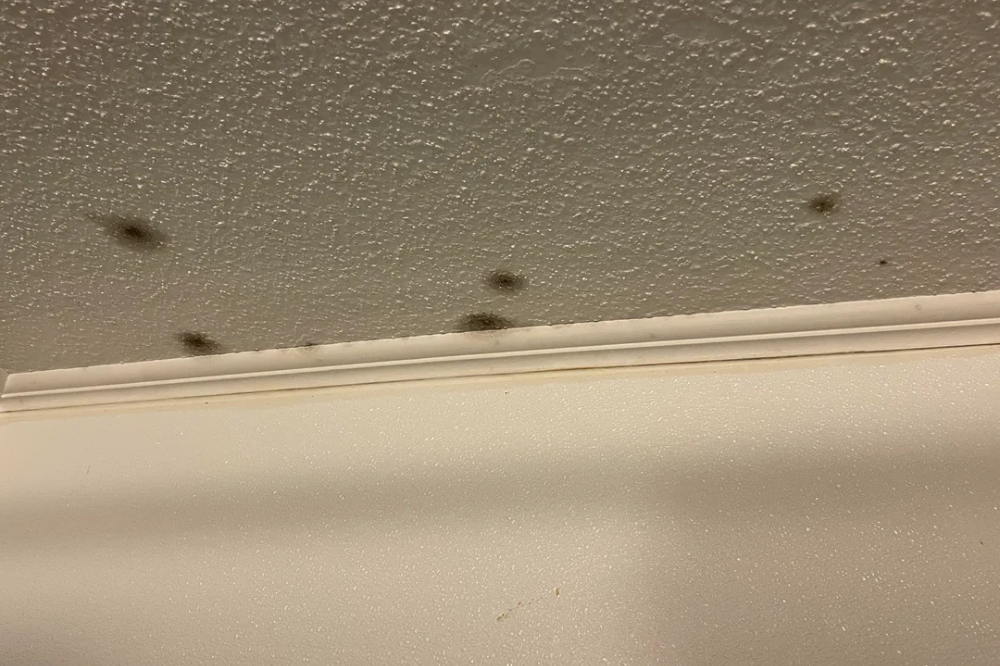 What Are Those Black Dots On Your Ceiling?