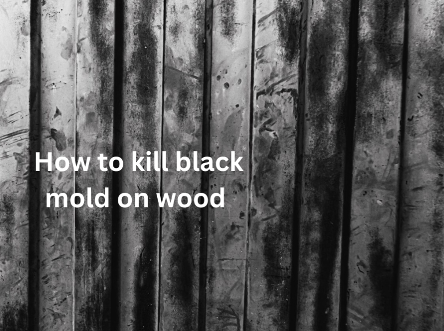 how to kill black mold on wood