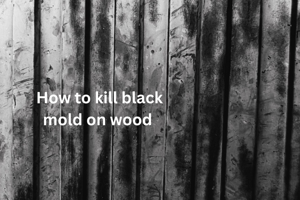 How to Kill Black Mold on Wood 