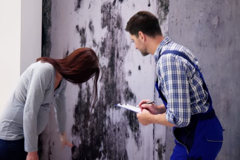 How does mold affect your property value?