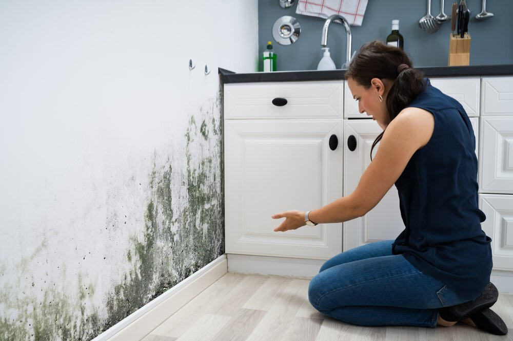 Mold and Its Effect on Health: A Comprehensive Guide