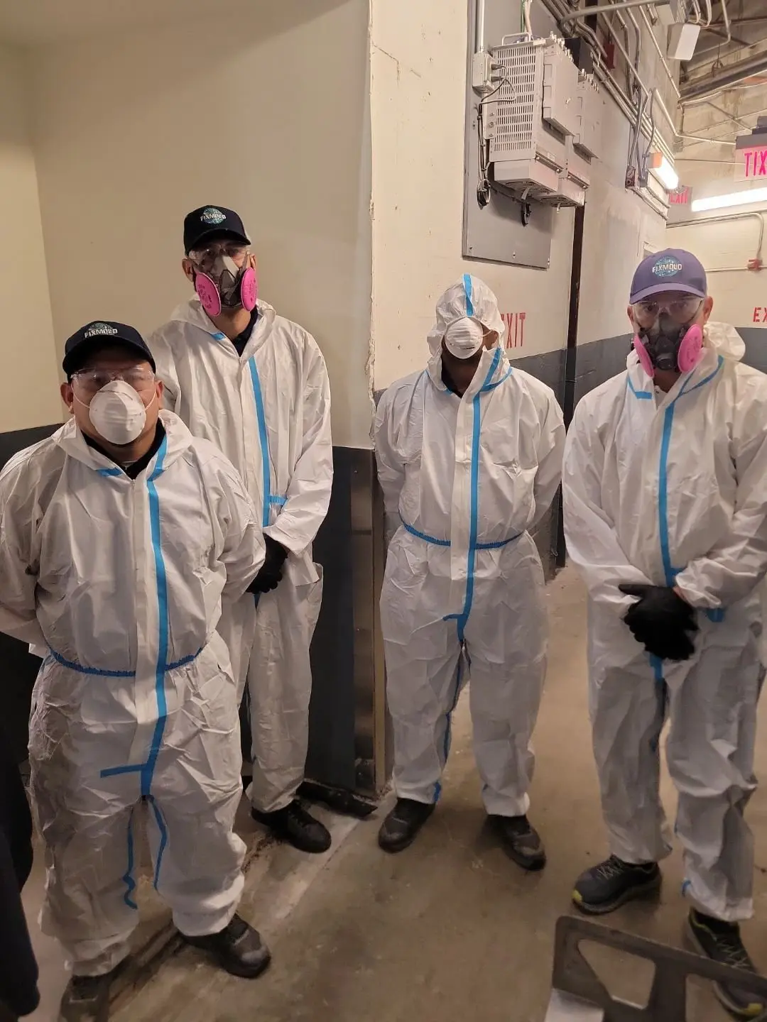 Mold Abatement Near Me: Professional Solutions