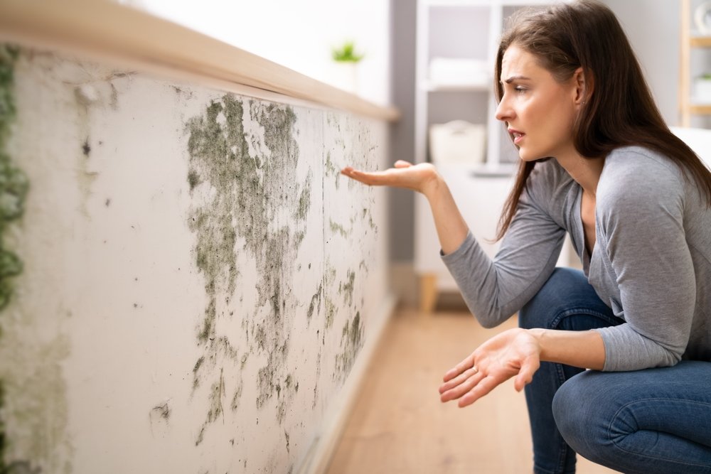 Woman inspecting mold growth on a damaged wall in a home