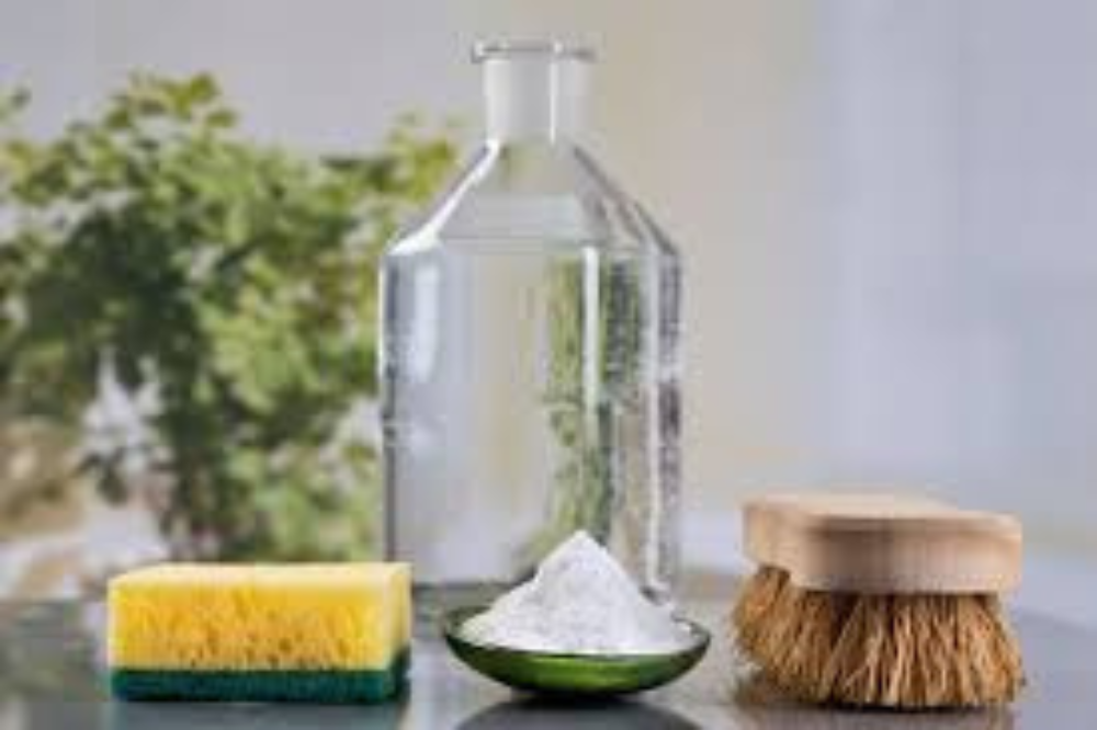 how to get rid of mold with white vinegar