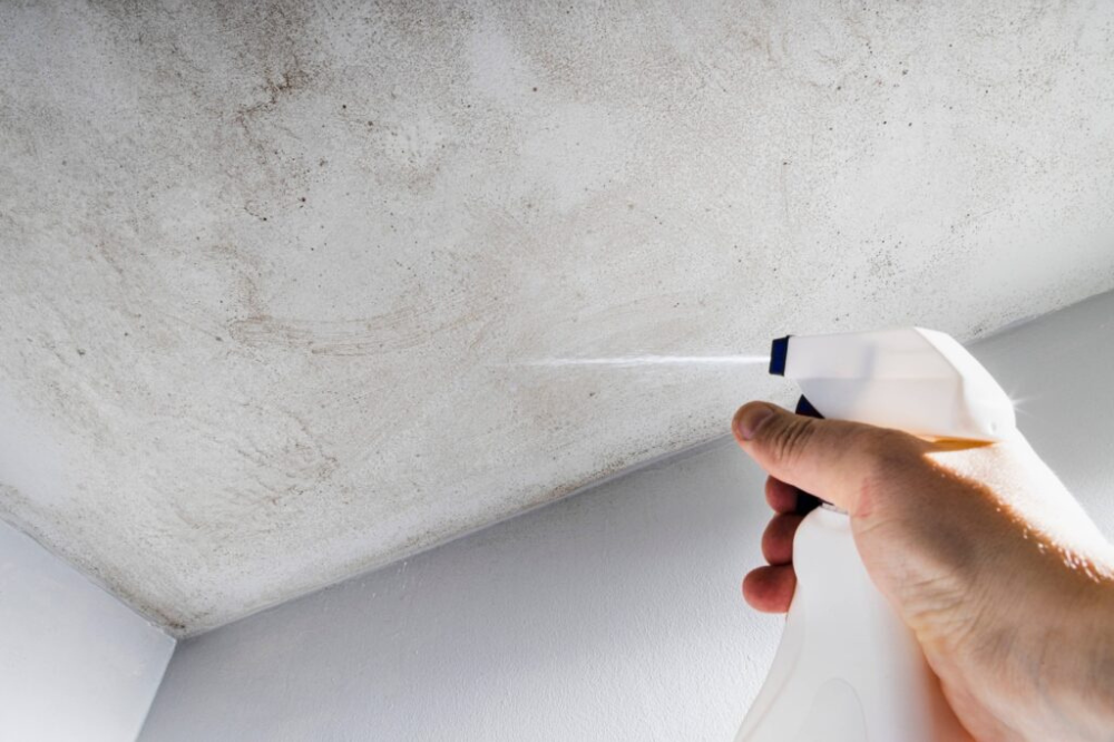 Eliminate Mold on Bathroom Ceiling Safely