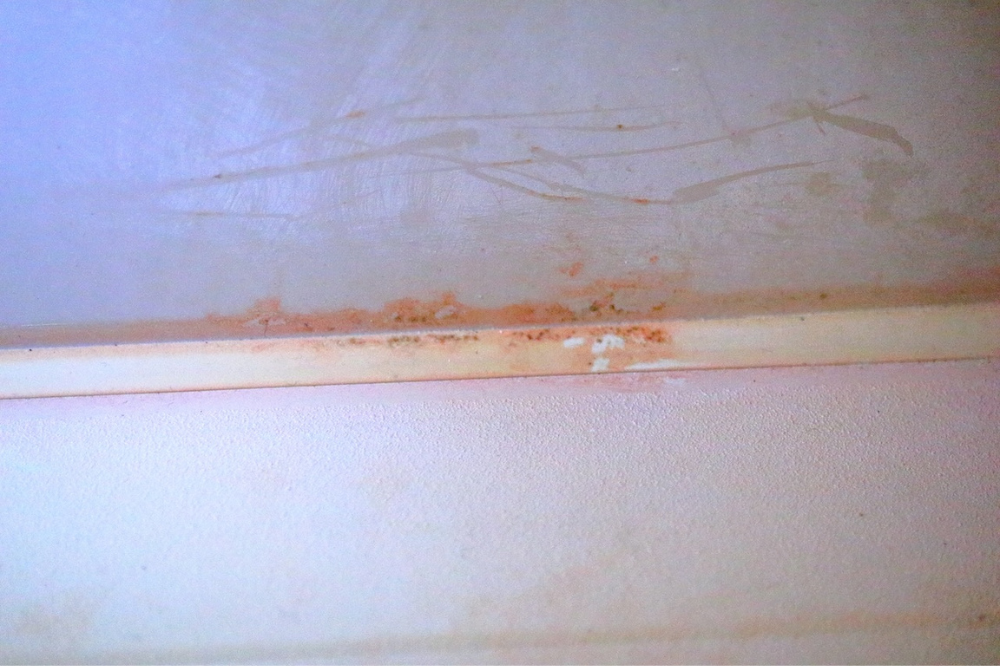 mold growth in homes