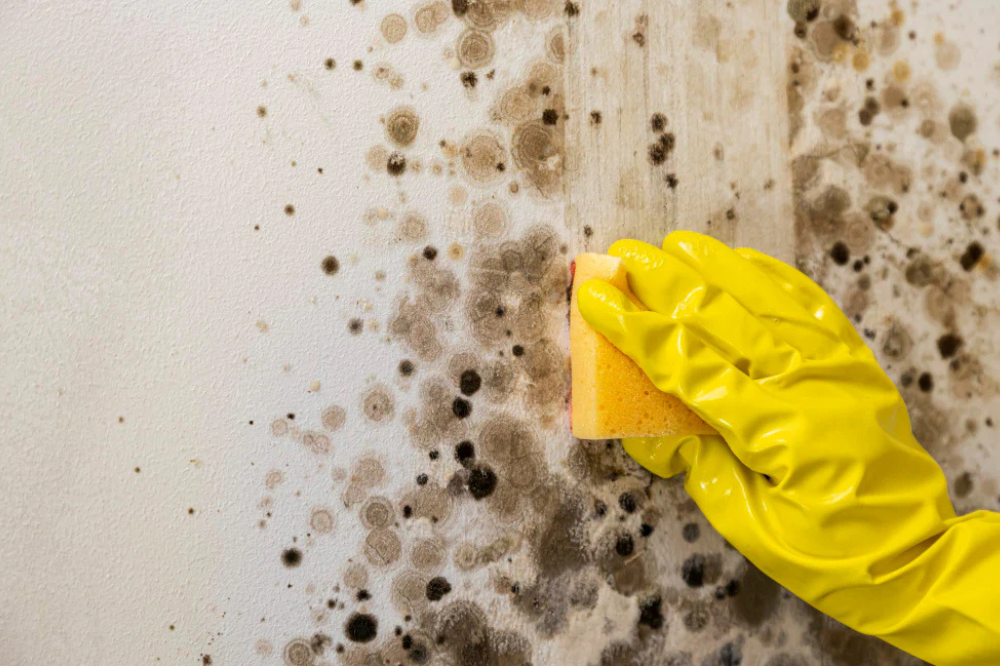 Effective Mold Removal Solution for Silicone Rubber Water Bottle