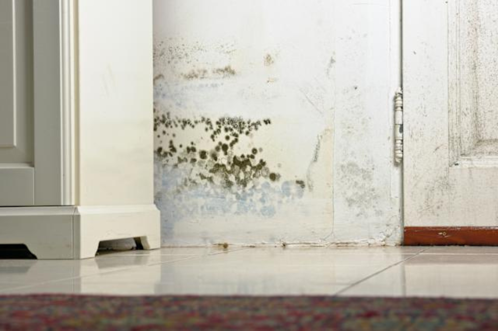 wood molding