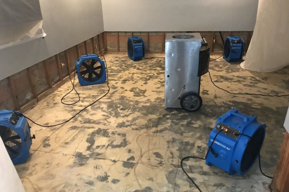 Mold Remediation Tips for Water Damage Aftermath