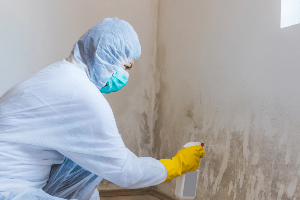 Health Risks of Mold in Water Bottles Unveiled