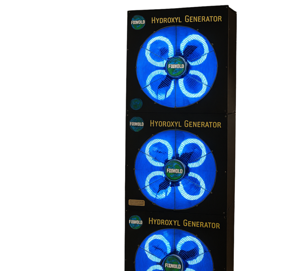 Mold spreading on damp ceiling area