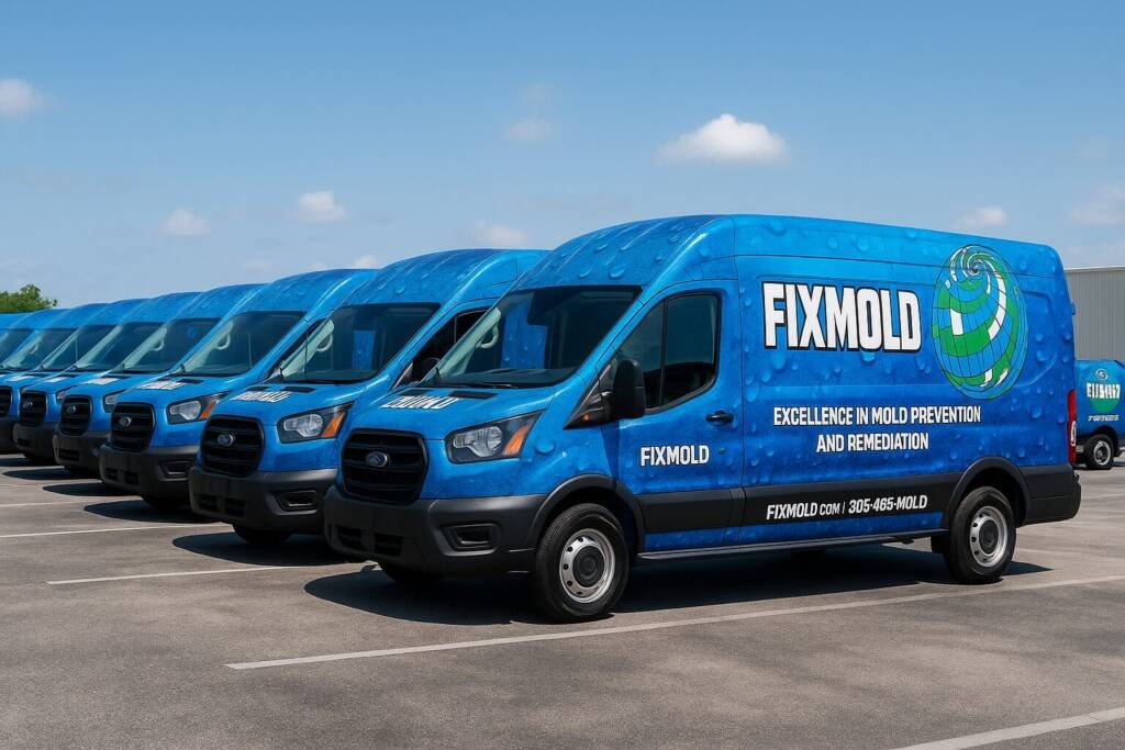 Mold removal team working with protective gear