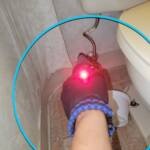 FixMold healthcare facility remediation project image