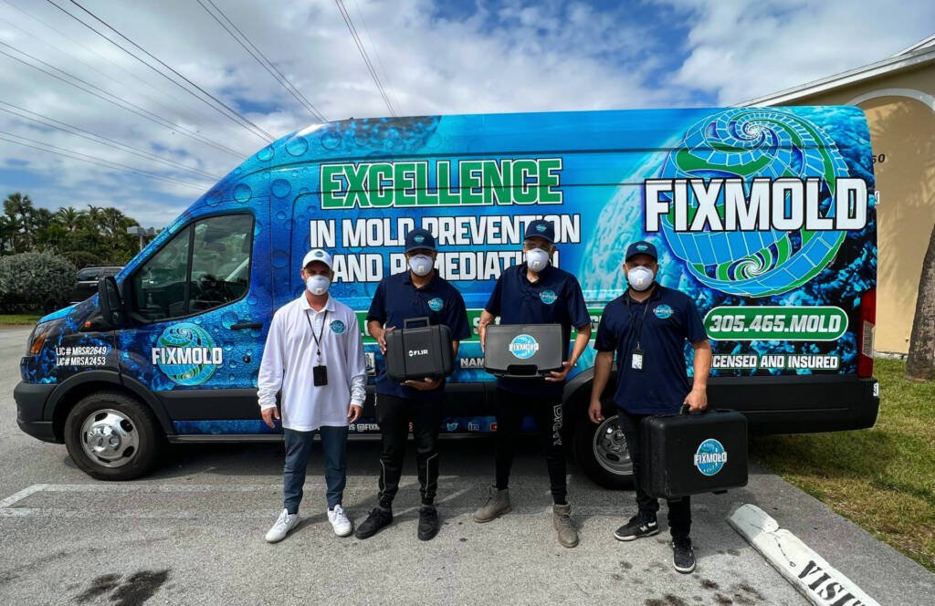 mold team