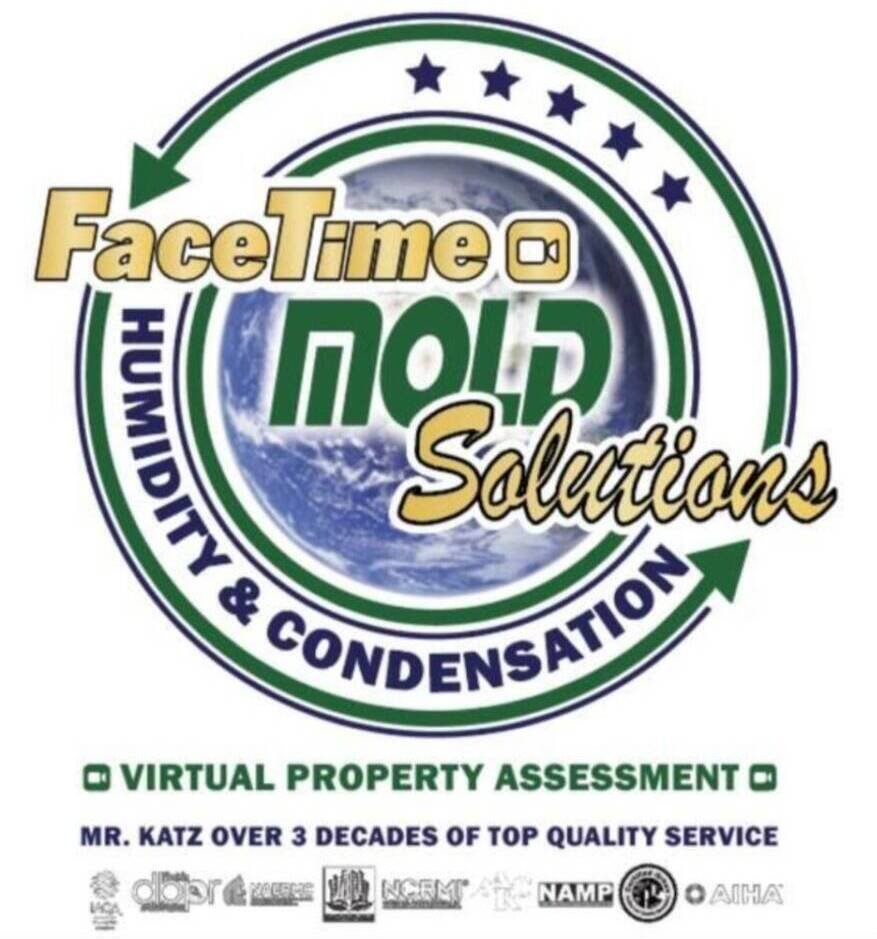 FixMold restoration service project site photo