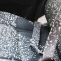 The Hidden Danger in Your Car: Why Mold Is a Serious Problem