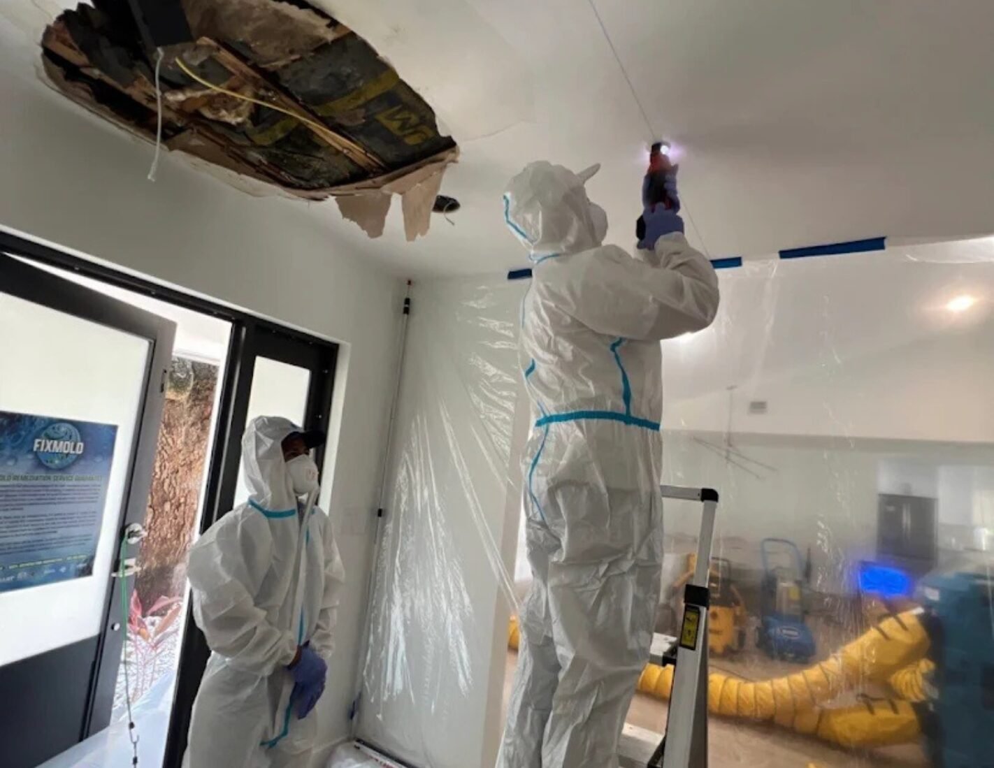 mold removal miami beach