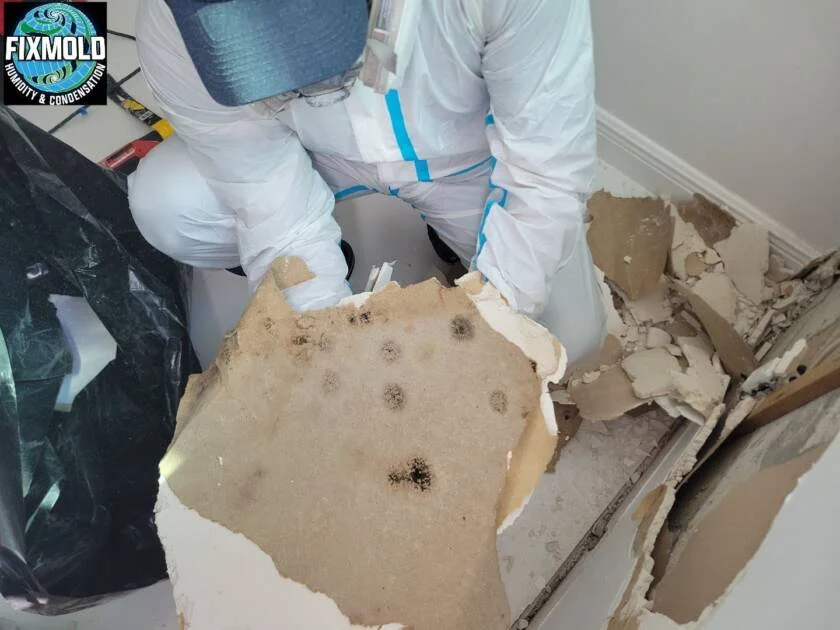 The-Hammocks-mold-inspection-and-mold-removal-840x630